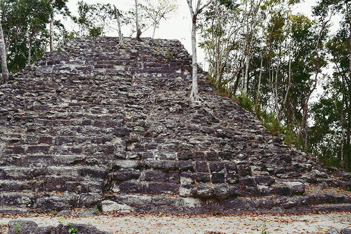 Tempel, El Tigre