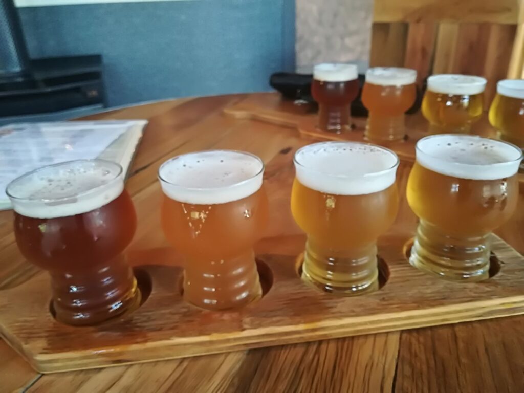 Beer Tasting