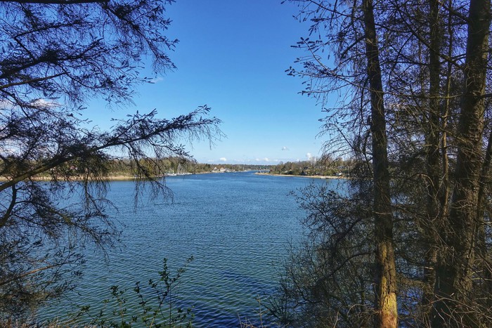 Naturaleza en el Naturpark Schlei