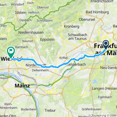 Frankfurt y Wiesbaden